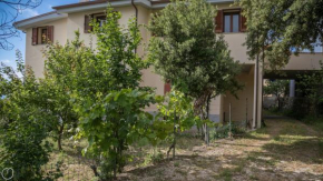 Casa Bardia